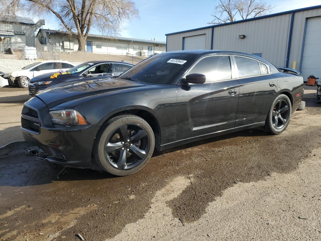 2013 Dodge Charger R/T for Sale in Albuquerque, NM - Front End