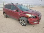 2013 Ford Escape Titanium for Sale in Andrews, TX - Hail