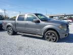 2013 FORD F150 SUPERCREW for sale at Copart FL - TAMPA SOUTH