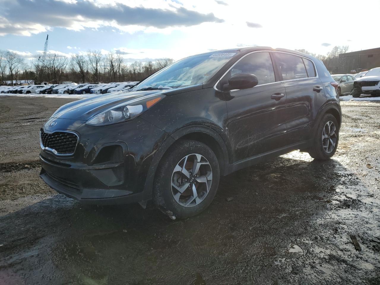 2020 Kia Sportage - Image 1