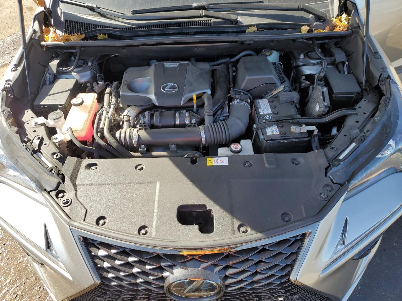 2018 Lexus NX - Image 12