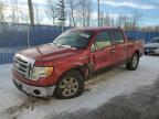 2009 FORD F150 SUPERCREW for sale at Copart NB - MONCTON