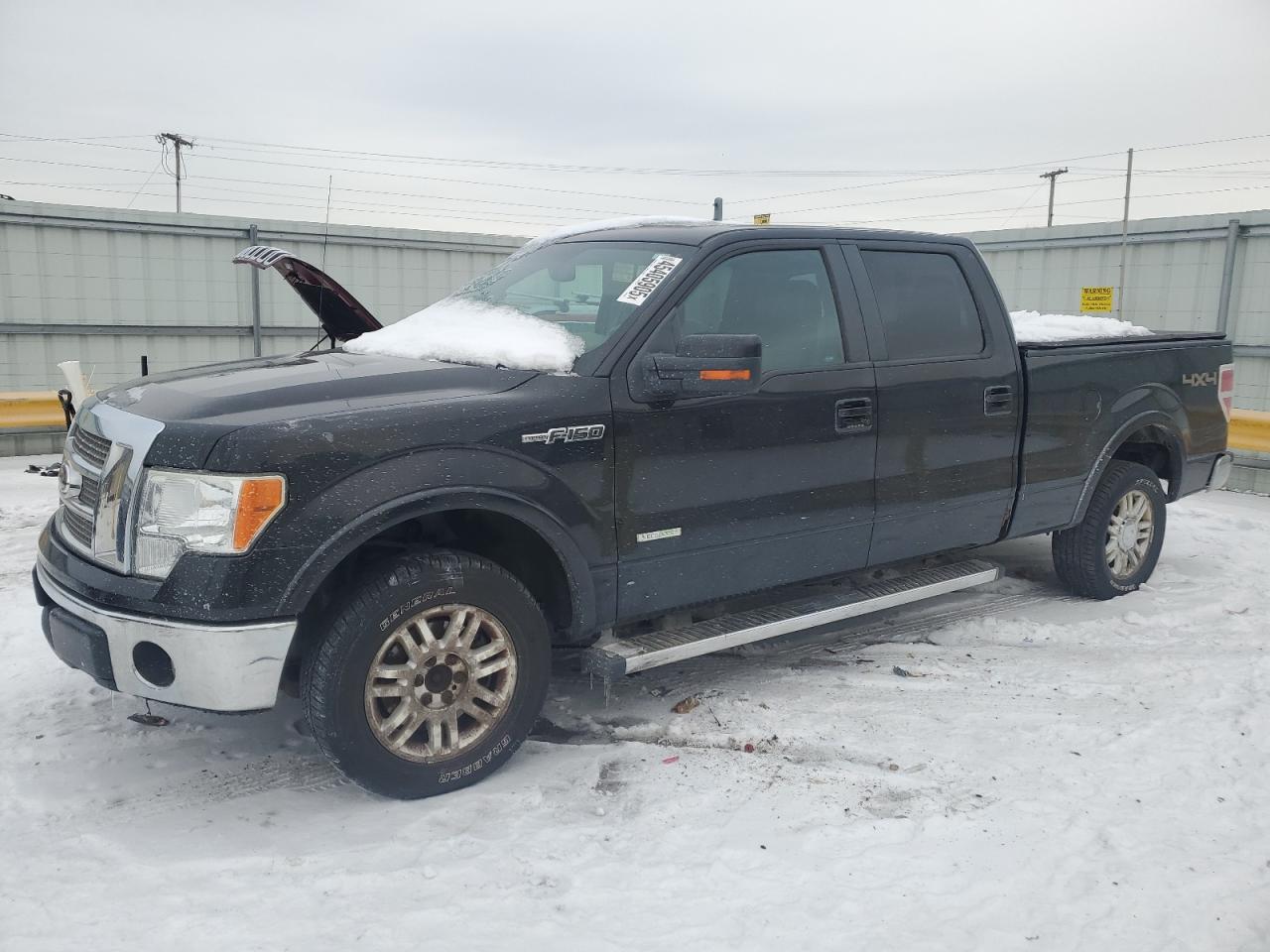 2012 Ford F-150 - Image 1