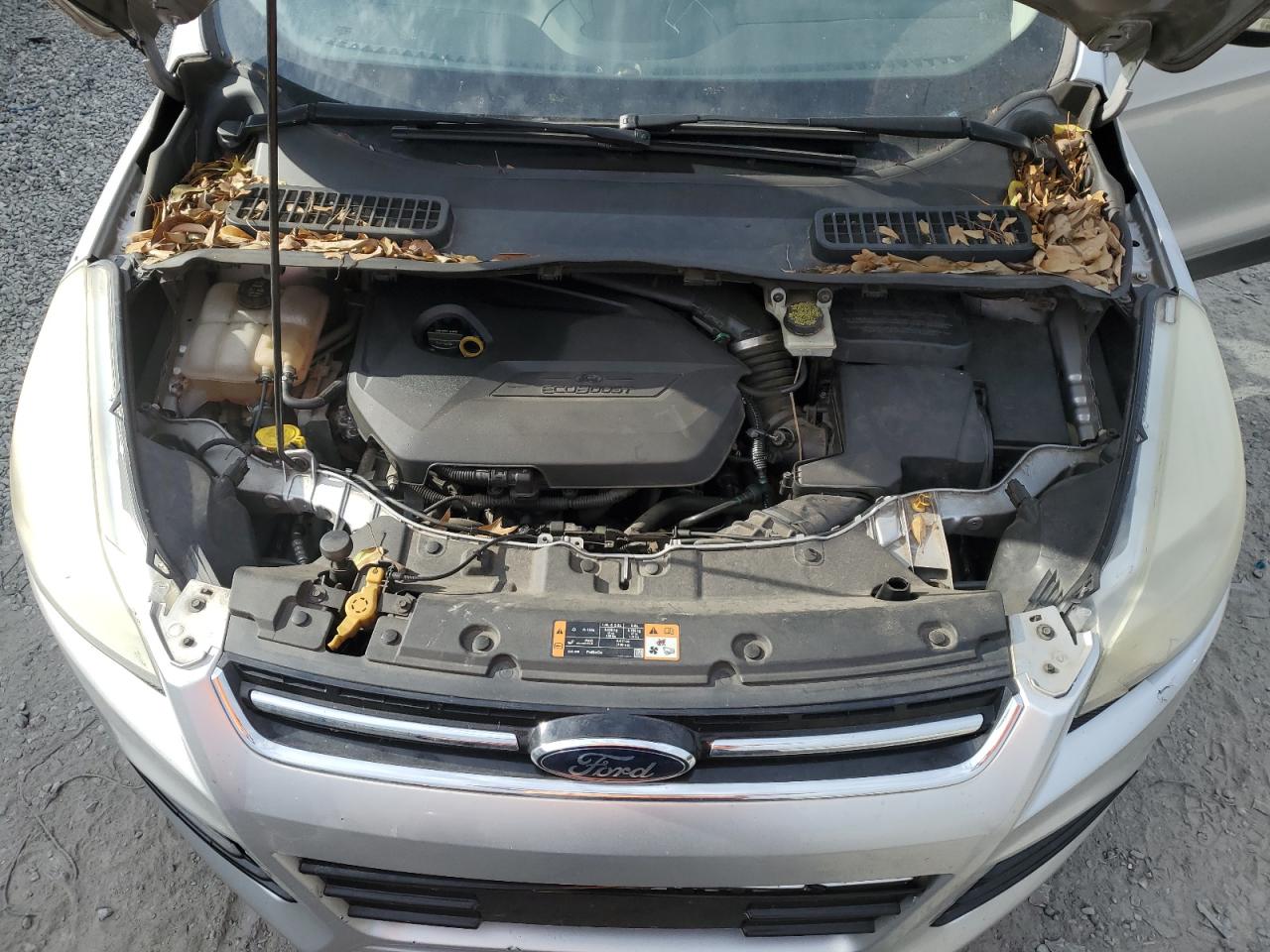 2014 Ford Escape - Image 12