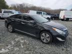 2013 Hyundai Sonata Hybrid zu verkaufen in Windsor, NJ - Rear End