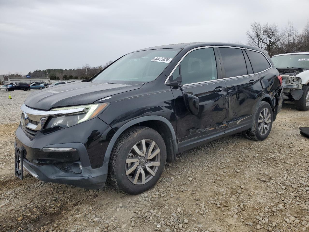 2019 Honda Pilot Exl zu verkaufen in Memphis, TN - Side