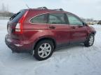 2007 Honda Cr-V Ex na sprzedaż w Bowmanville, ON - Front End