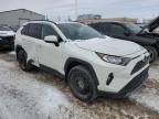 2019 TOYOTA RAV4 LIMITED for sale at Copart ON - TORONTO