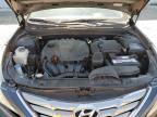 2013 Hyundai Sonata Se للبيع في Jacksonville، FL - Front End