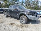2014 FORD F150 SUPERCREW à vendre chez Copart FL - TAMPA SOUTH