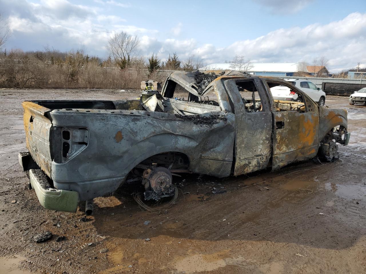 2010 Ford F-150 - Image 3
