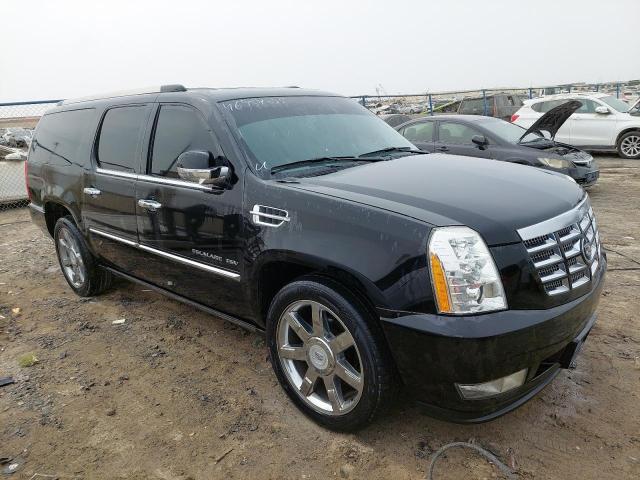 1GYS48EF0BR295800 - 2021 Cadillac Escalade - #undefined