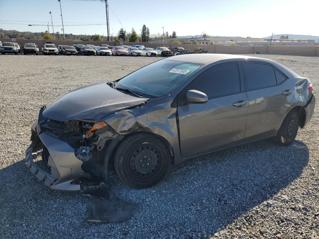 2019 Toyota Corolla - Image 1