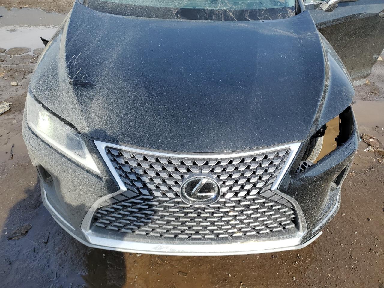 2021 Lexus RX - Image 12