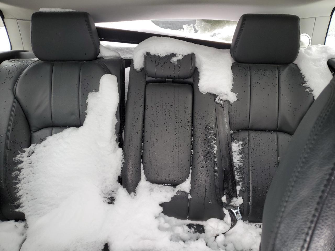 2017 Land Rover Range Rover Evoque Se VIN: SALVP2BG2HH173838 Lot: 43209155