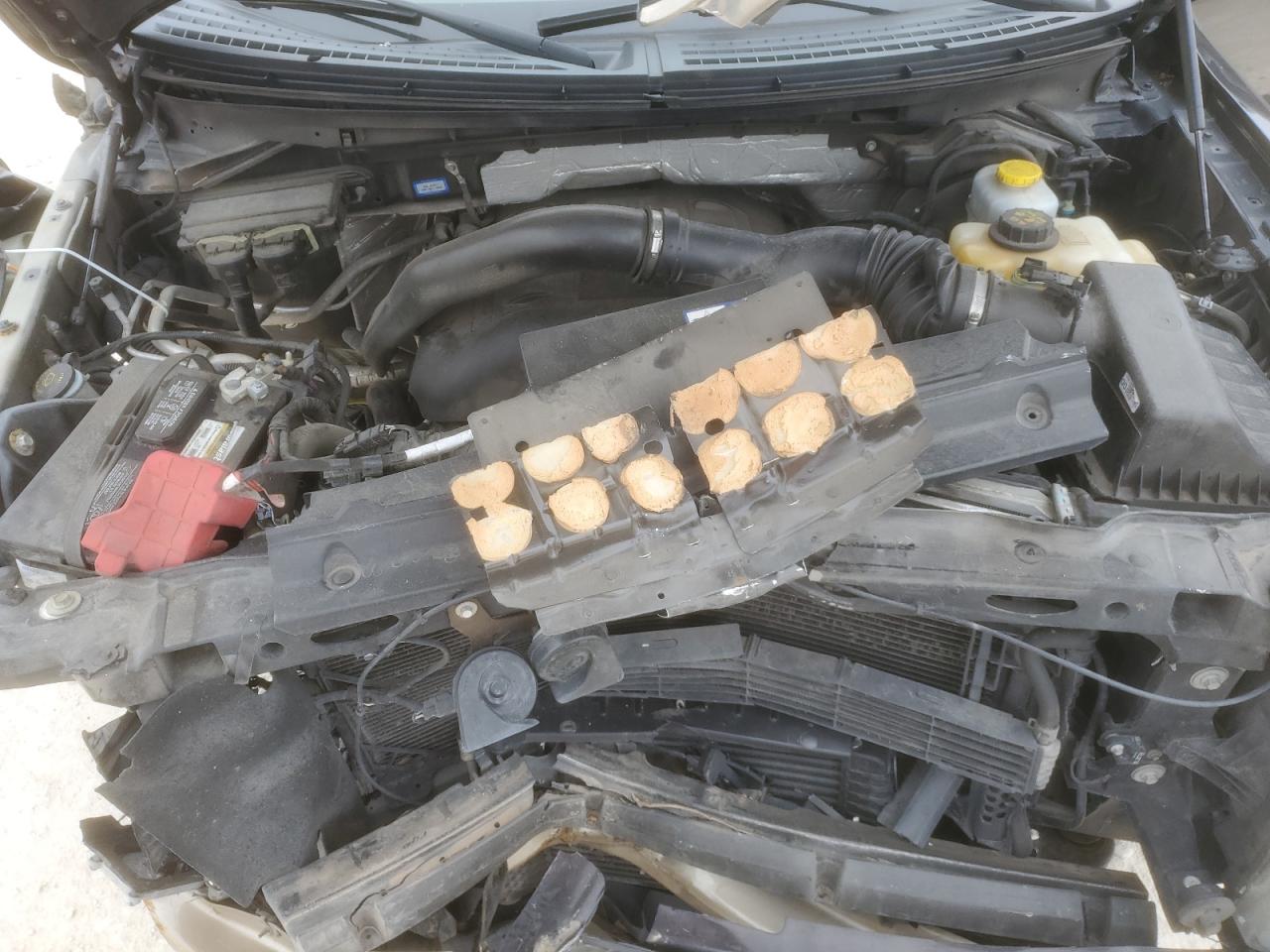 2014 Ford F-150 - Image 11