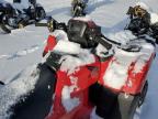 2025 Honda Trx520 Fa for Sale in Davison, MI - Front End
