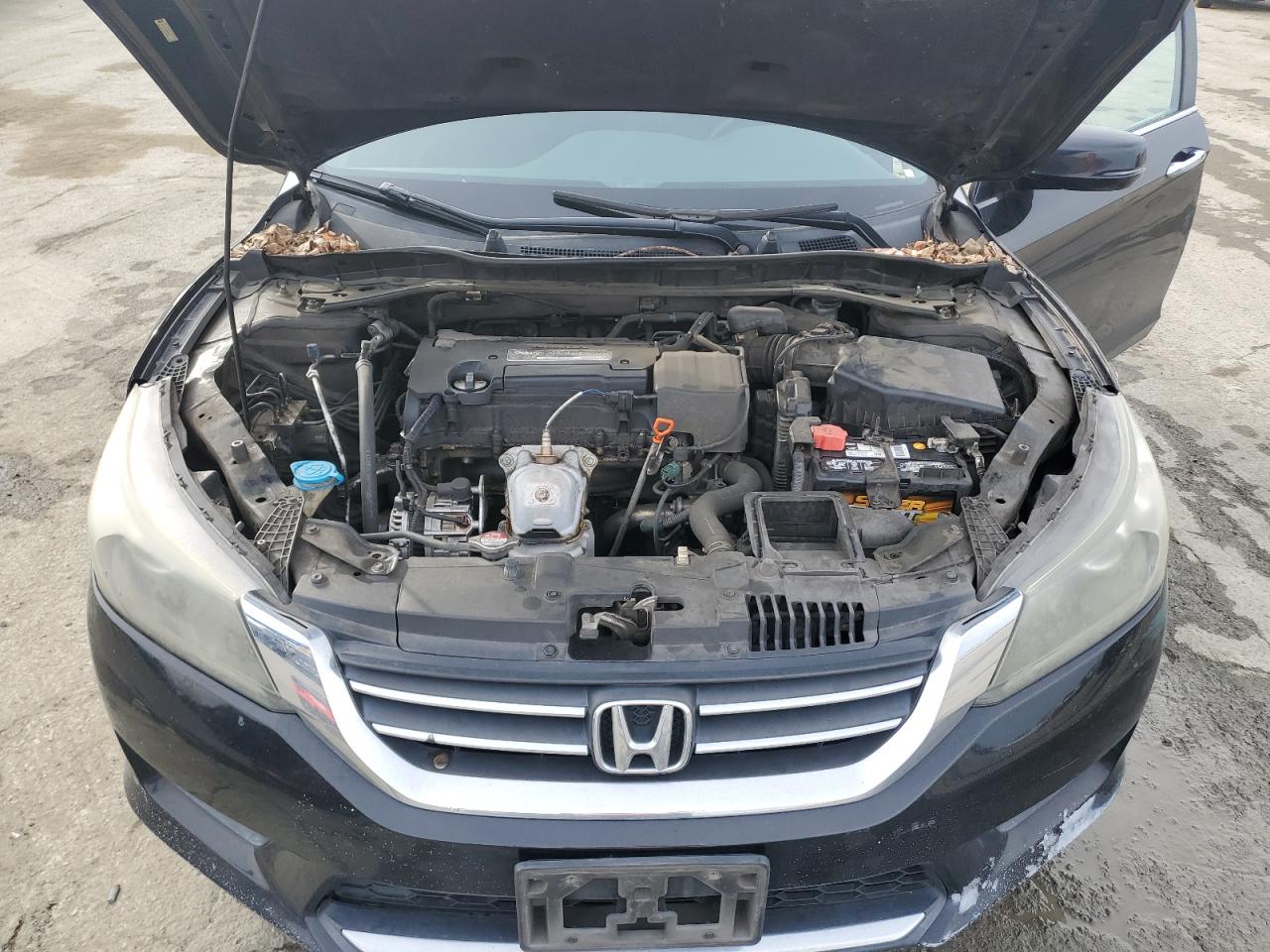 2014 Honda Accord - Image 11