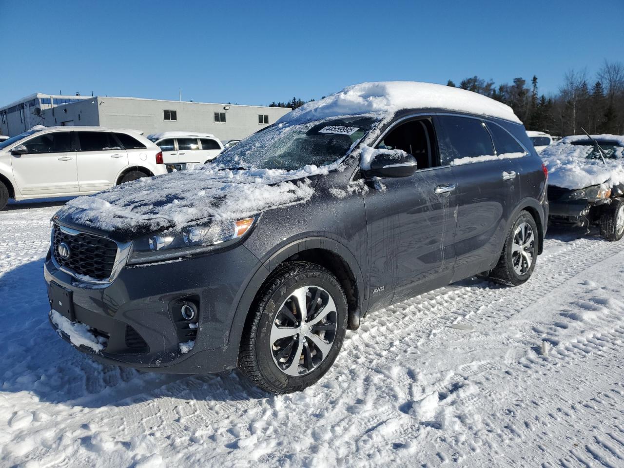 2019 Kia Sorento Lx de vânzare în Cookstown, ON - Rear End