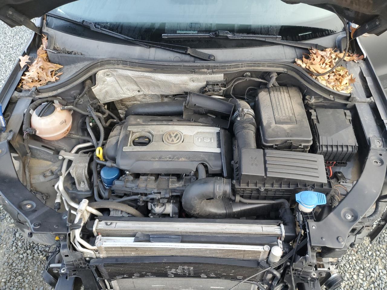2016 Volkswagen Tiguan - Image 11