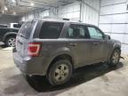 2010 Ford Escape Xlt за продажба в Candia, NH - Front End