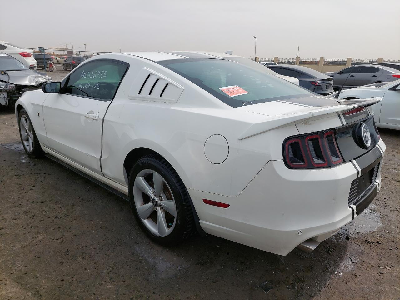 1ZVBP8AM1D5237641 - 2013 FORD MUSTANG - #45436755