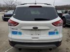 2013 Ford Escape Se for Sale in Louisville, KY - Front End