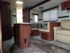2014 Palomino Solaire იყიდება Grand Prairie-ში, TX - Hail