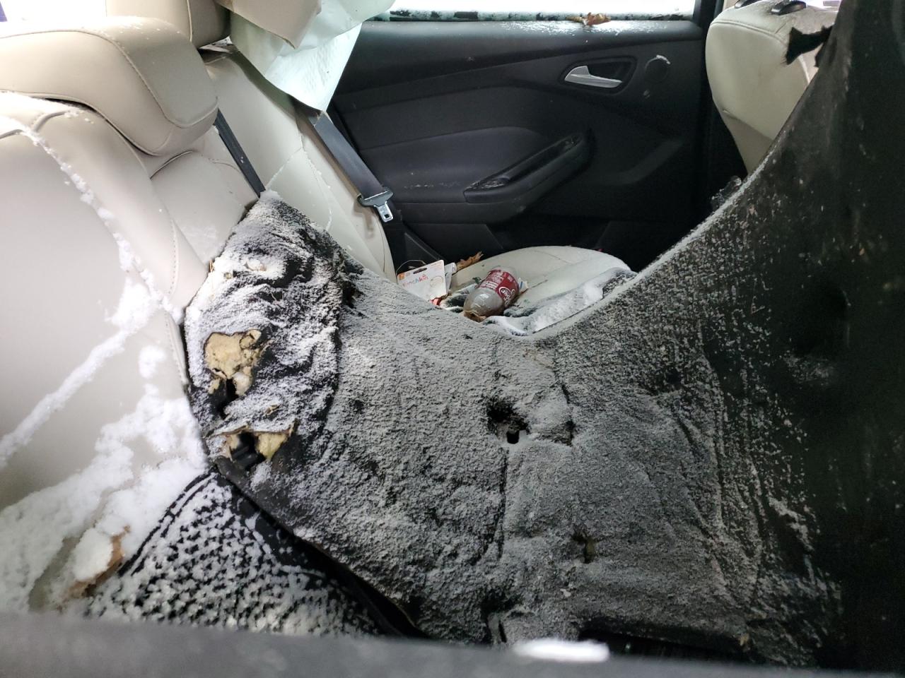 2015 Ford Focus - Image 10