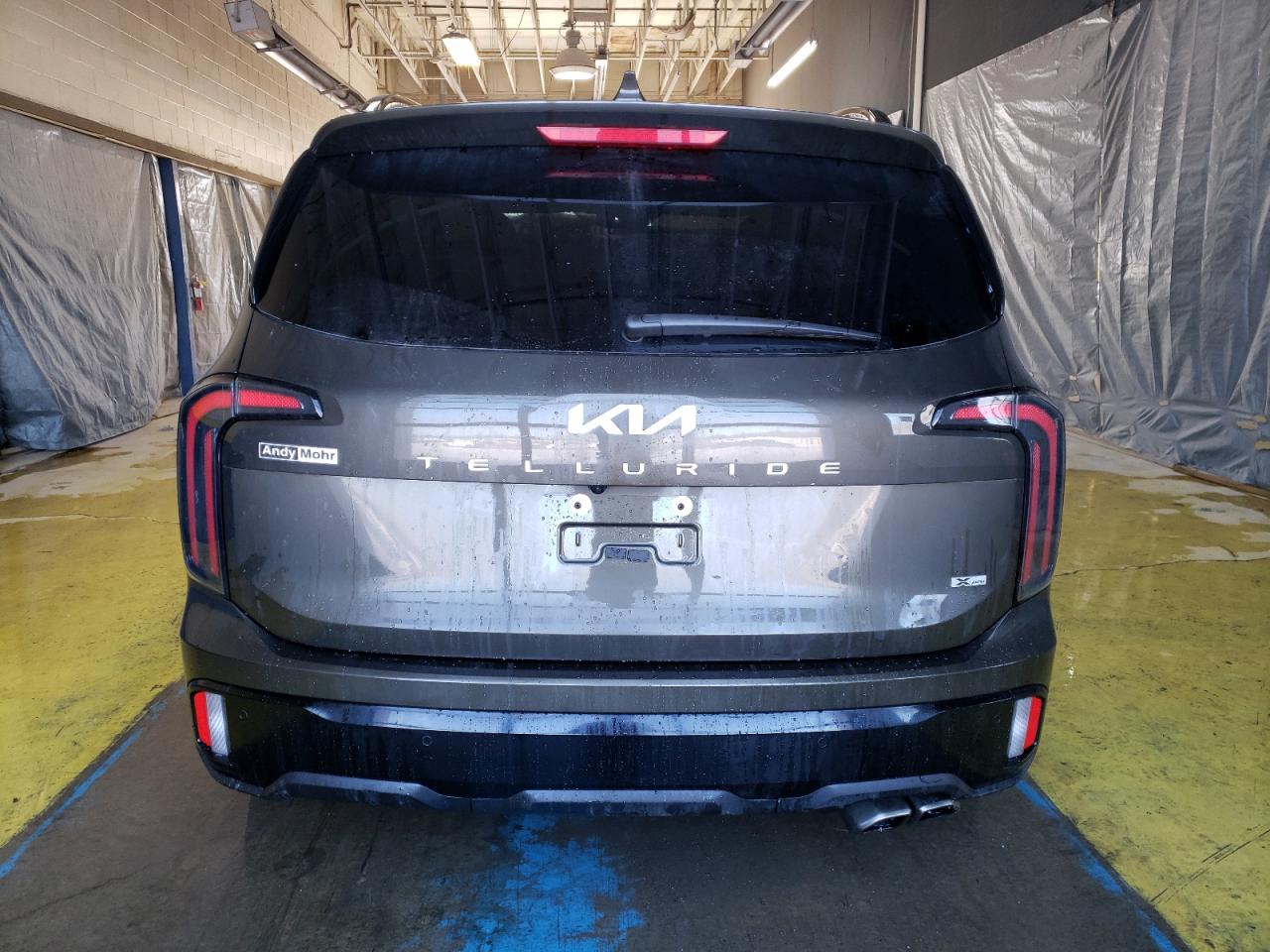 2024 Kia Telluride Sx VIN: 5XYP5DGC3RG498967 Lot: 45762725