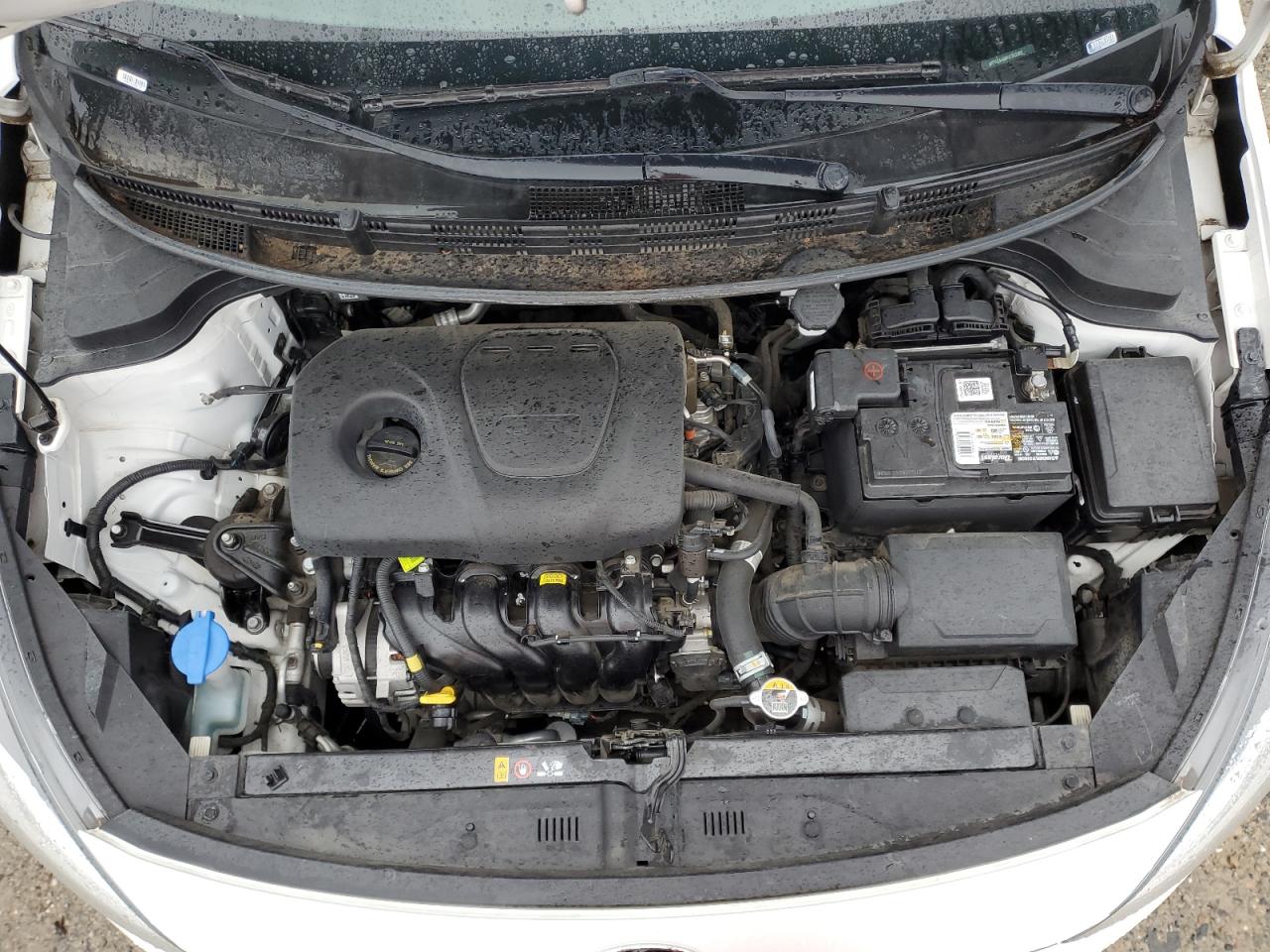 2019 Kia Rio - Image 11