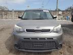 2016 Kia Soul  na sprzedaż w Homestead, FL - Rear End