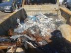 2024 Chevrolet Silverado K2500 Heavy Duty Lt for Sale in Finksburg, MD - Burn
