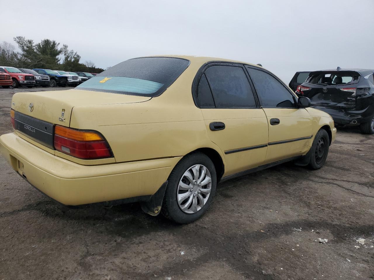 1995 Toyota Corolla - Image 3