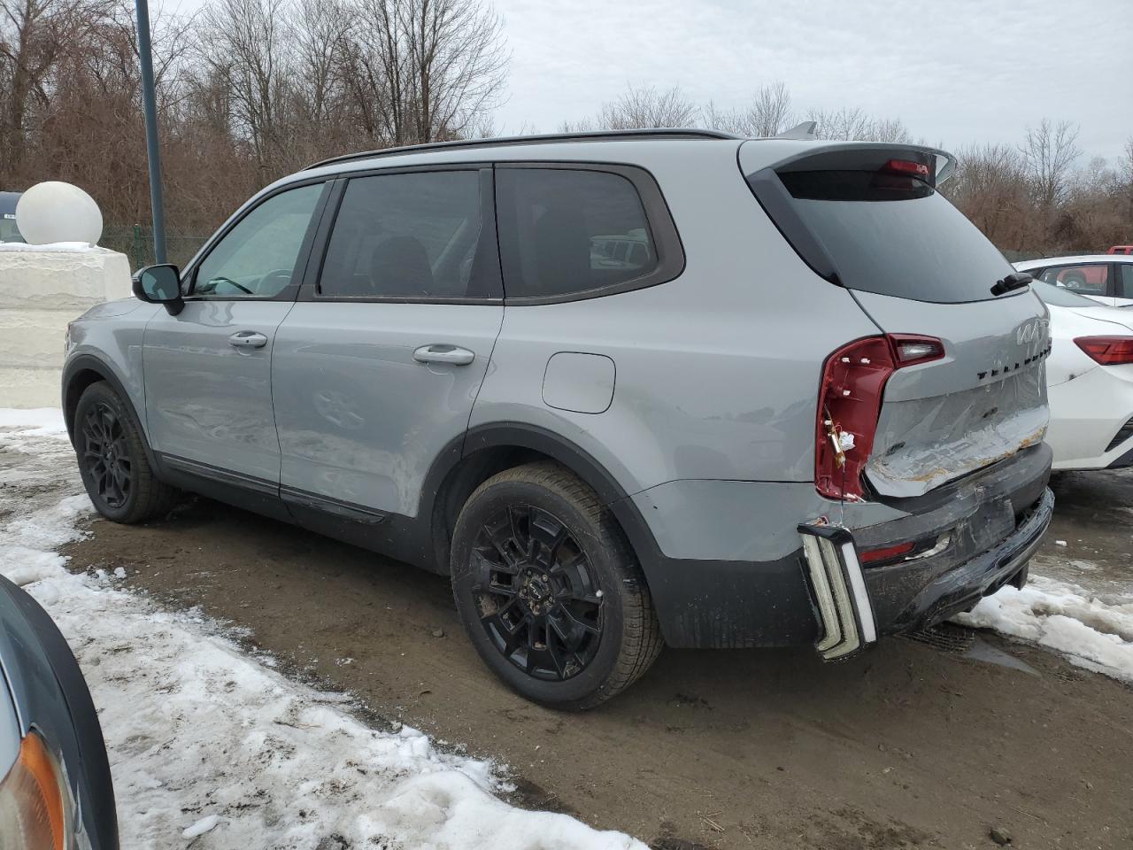 2022 Kia Telluride - Image 2