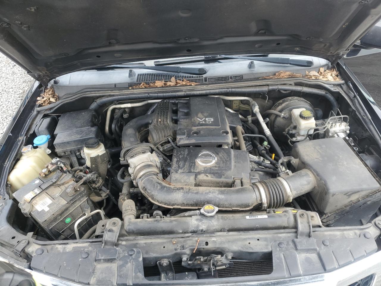 2013 Nissan Navara (Frontier) - Image 11