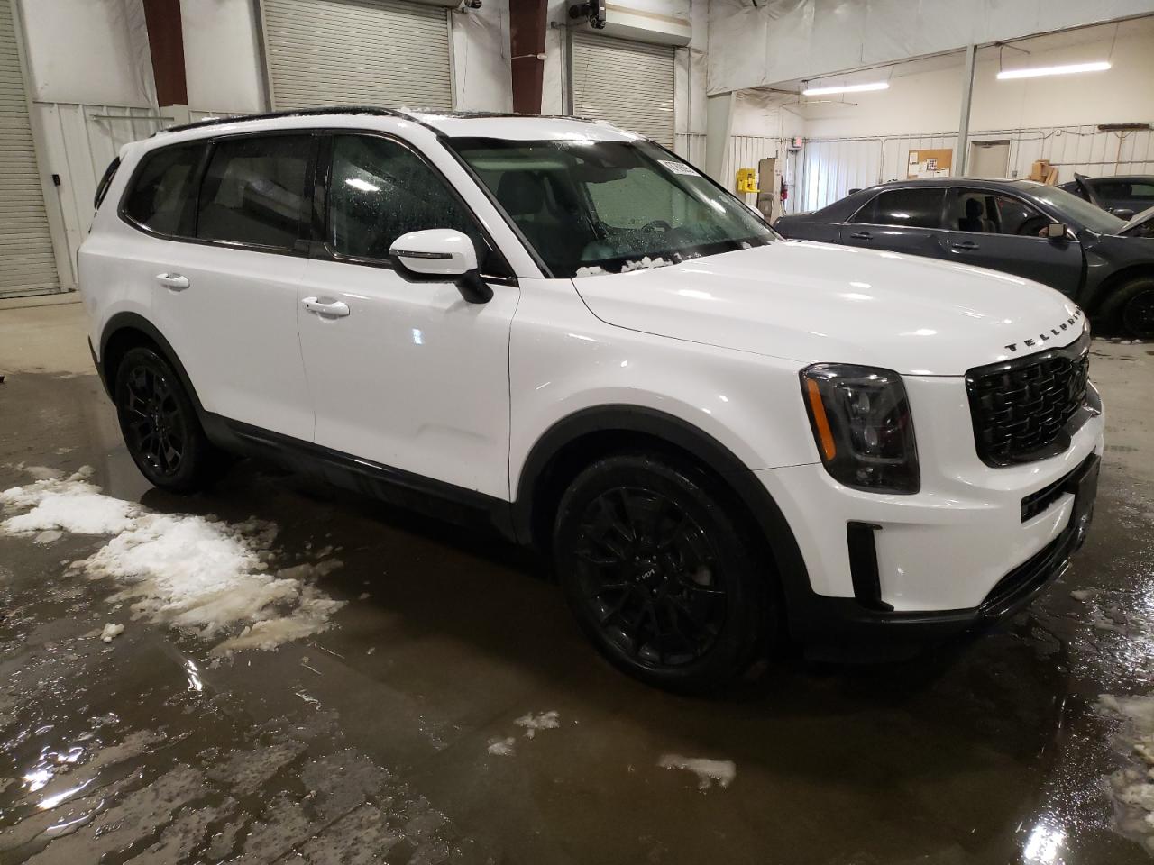 2022 Kia Telluride Ex VIN: 5XYP3DHC3NG251298 Lot: 43789895
