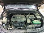 Lawrenceburg, KY에서 판매 중인 2013 Hyundai Sonata Se - Water/Flood