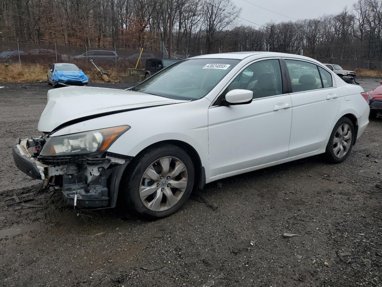 2010 Honda Accord - Image 1