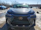 2024 Lexus Nx 350 Premium for Sale in Louisville, KY - Water/Flood
