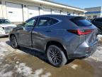2024 Lexus Nx 350 Premium for Sale in Louisville, KY - Water/Flood