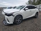 2024 Lexus Rx 350 Premium for Sale in Riverview, FL - Front End
