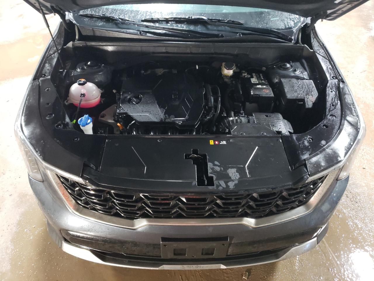 2024 Kia Sorento - Image 12