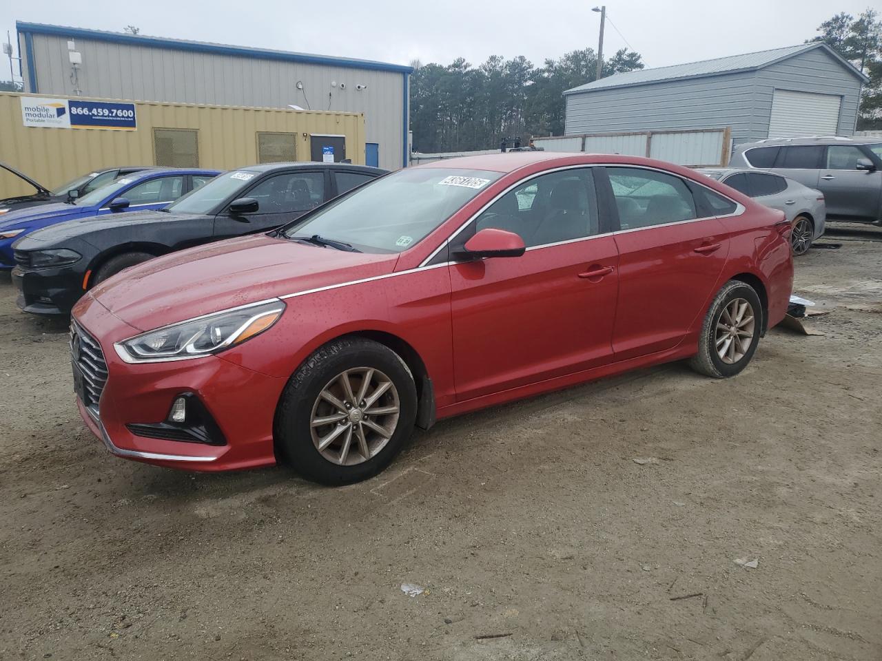 2019 Hyundai Sonata - Image 1