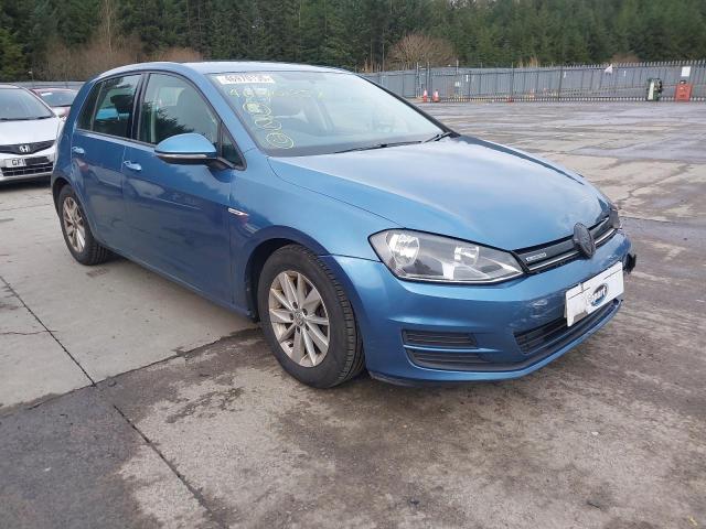 2013 VOLKSWAGEN GOLF BLUEM