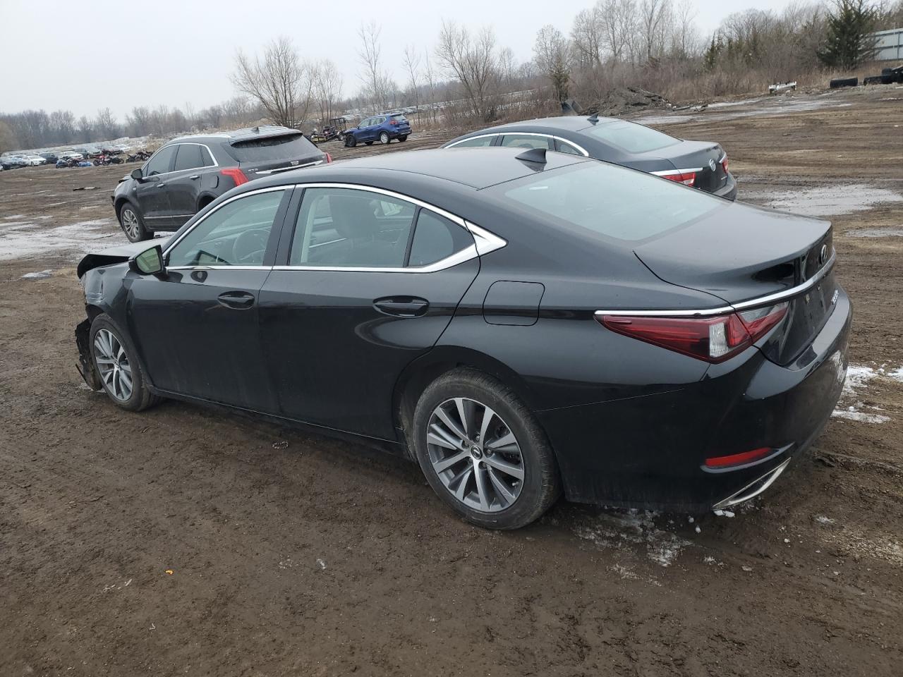 2019 Lexus ES - Image 2