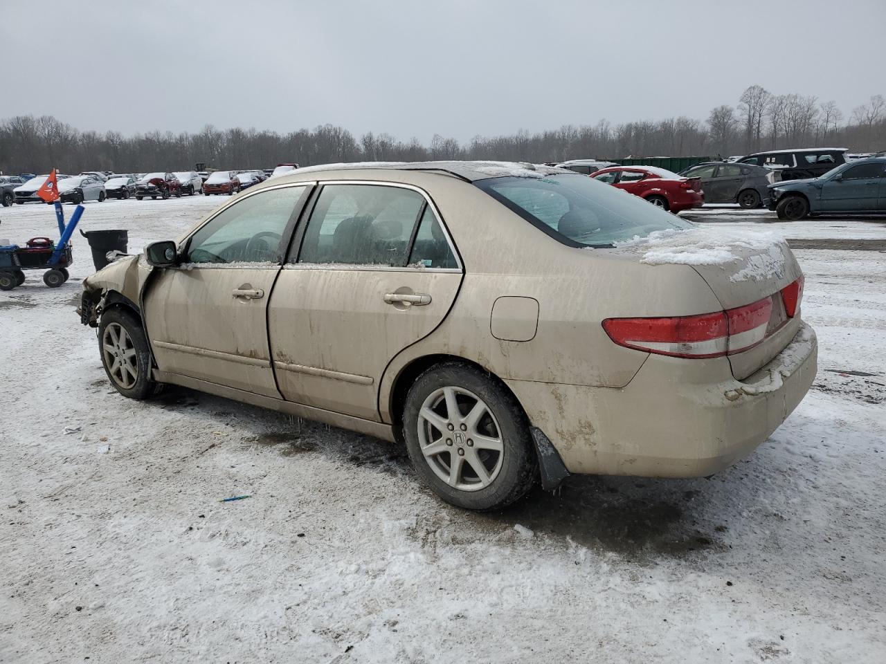 2004 Honda Accord - Image 2