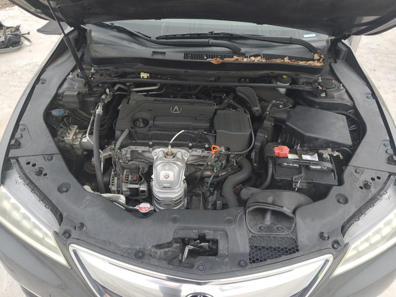 2015 Acura TLX - Image 11