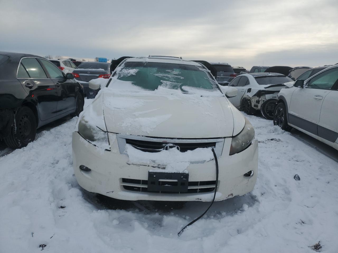 2010 Honda Accord - Image 5