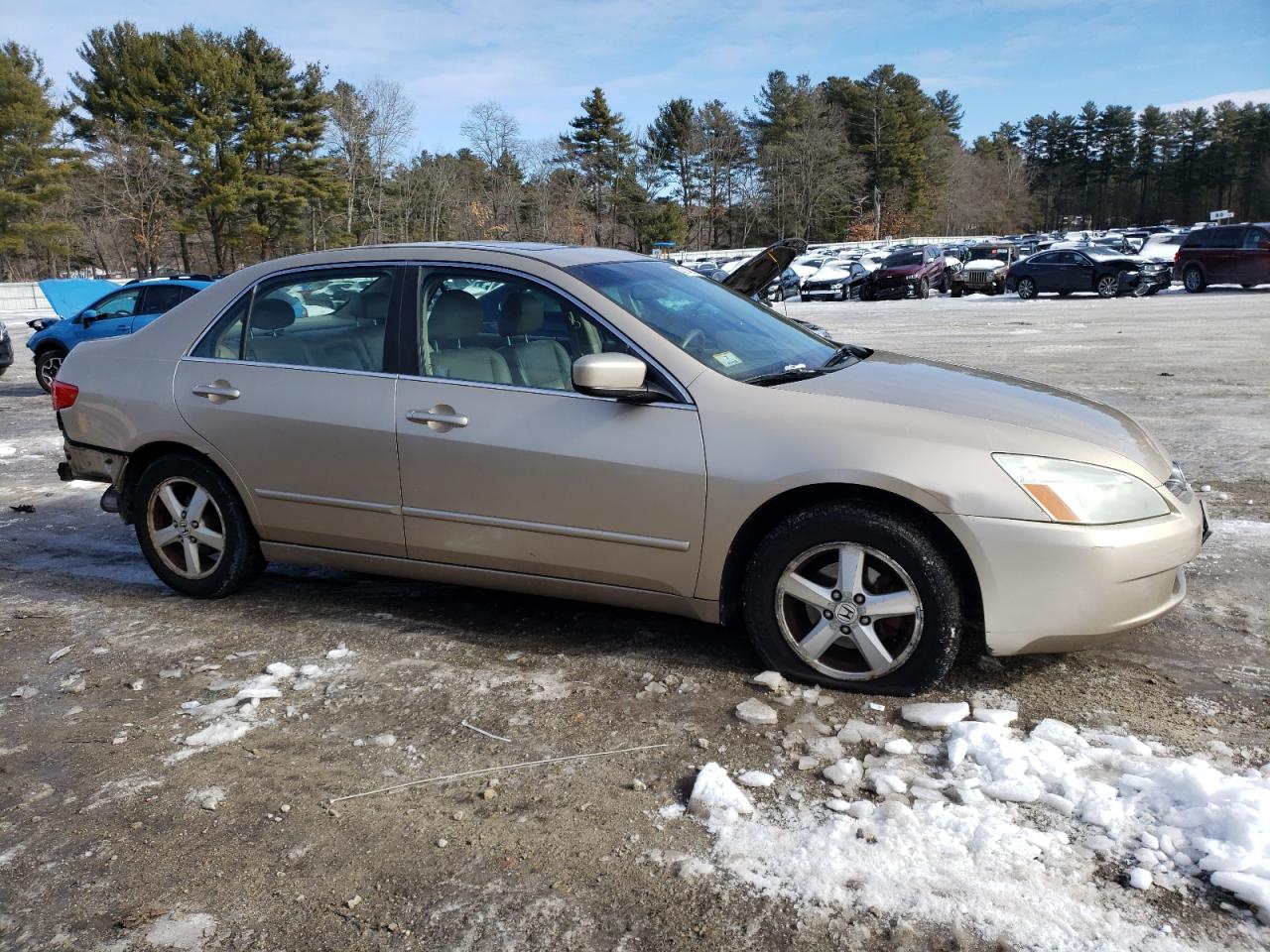 2005 Honda Accord - Image 4